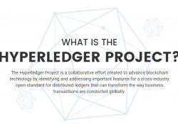 Hyperledger project.