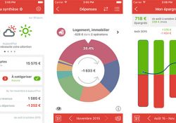 Linxo prend de l'avance en devenant market place de services financiers