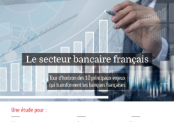 Le secteur bancaire français tour d'horizon des 10 principaux enjeux qui transforment les banques françaises.