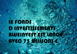 fond d'investissements BLUEINVEST
